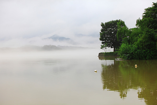 포토 JPG 주간 나무 식물 호수 자연현상 자연 산 한국 물그림자 그림자 풍경 사람없음 야외 강 반사 침묵 고요 안개 경기도 양수리 양평 국내포토 자연요소 아시아 날씨 소리 생태계 파일형식