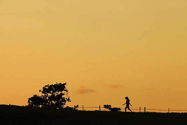 포토 JPG 나무 식물 구름 공원 실루엣 자연현상 자연 하늘 서울 한국 한명 사람 풍경 야외 울타리 조깅 운동 걷기 노을 일몰 야간 저녁 올림픽공원 국내포토 자연요소 1 공공시설 아시아 모션 촬영기법 건강 담장 생태계 파일형식