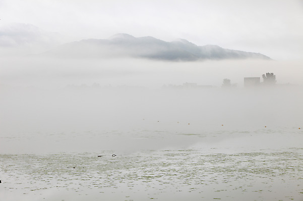 포토 JPG 주간 호수 자연현상 자연 산 한국 풍경 사람없음 야외 강 침묵 고요 안개 경기도 양수리 양평 국내포토 자연요소 아시아 날씨 소리 생태계 파일형식