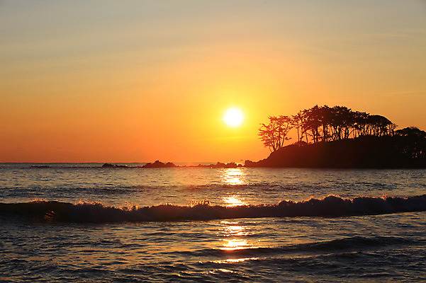 포토 JPG 나무 식물 실루엣 물결 파도 바다 자연현상 자연 하늘 한국 풍경 해변 사람없음 야외 햇빛 태양 일출 노을 일몰 경상도 울산 강양항 국내포토 자연요소 아시아 촬영기법 항구 생태계 파일형식
