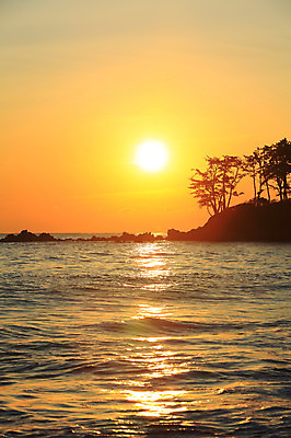 포토 JPG 나무 식물 구름 실루엣 바다 자연현상 자연 하늘 한국 풍경 해변 사람없음 야외 햇빛 태양 일출 노을 일몰 경상도 울산 강양항 국내포토 자연요소 아시아 촬영기법 항구 생태계 파일형식