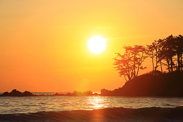 포토 JPG 나무 식물 구름 실루엣 물결 파도 바다 자연현상 자연 하늘 한국 풍경 해변 사람없음 야외 햇빛 태양 일출 노을 일몰 경상도 울산 강양항 국내포토 자연요소 아시아 촬영기법 항구 생태계 파일형식
