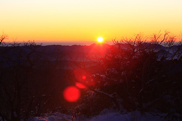 포토 JPG 주간 나무 식물 구름 계절 실루엣 설경 겨울 자연현상 자연 하늘 산 한국 풍경 사람없음 야외 햇빛 태양 일출 노을 일몰 안개 눈 전라북도 전라도 산등성이 덕유산 운해 무주 운무 국내포토 자연요소 아시아 날씨 촬영기법 생태계 파일형식 구름_자연