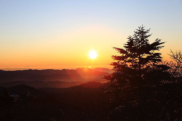 포토 JPG 주간 나무 식물 구름 실루엣 자연현상 자연 하늘 산 한국 풍경 사람없음 야외 햇빛 태양 일출 노을 일몰 안개 전라북도 전라도 산등성이 덕유산 운해 무주 운무 국내포토 자연요소 아시아 날씨 촬영기법 생태계 파일형식 구름_자연