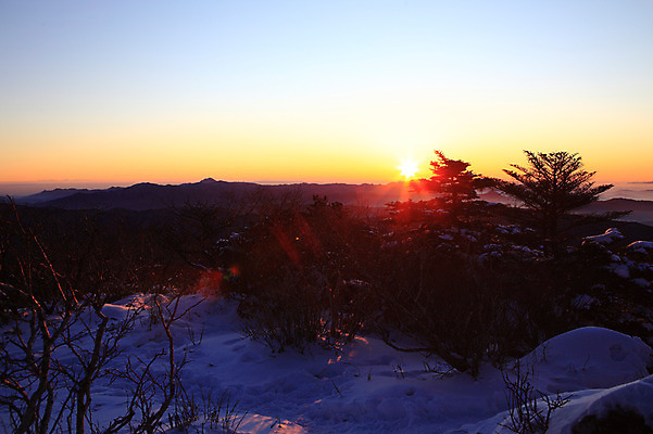 포토 JPG 주간 나무 식물 구름 계절 실루엣 설경 겨울 자연현상 자연 하늘 산 한국 풍경 사람없음 야외 햇빛 태양 일출 일몰 안개 눈 전라북도 전라도 산등성이 덕유산 운해 무주 운무 국내포토 자연요소 아시아 날씨 촬영기법 노을 생태계 파일형식 구름_자연