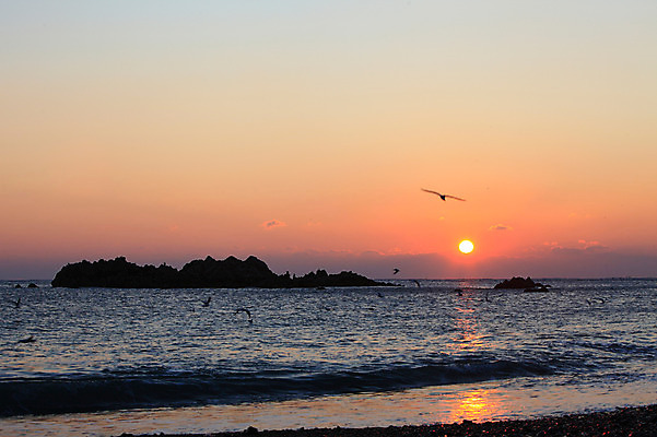 포토 JPG 동물 실루엣 물결 파도 바다 여러마리 자연현상 자연 갈매기 조류 하늘 한국 풍경 해변 사람없음 야외 햇빛 태양 일출 노을 일몰 돌_바위 바위 비행 경주 무덤 묘 경상북도 경상도 문무대왕릉 사적 수중릉 왕릉 국내포토 자연요소 아시아 다수 촬영기법 생태계 파일형식