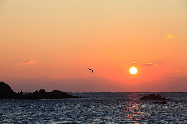 포토 JPG 동물 구름 한마리 실루엣 바다 자연현상 자연 갈매기 조류 하늘 한국 풍경 사람없음 야외 햇빛 태양 일출 노을 일몰 돌_바위 바위 비행 경주 무덤 묘 경상북도 경상도 문무대왕릉 사적 수중릉 왕릉 국내포토 자연요소 1 아시아 촬영기법 생태계 파일형식