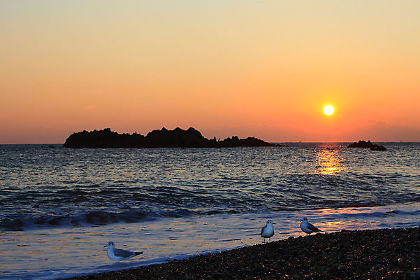 포토 JPG 동물 실루엣 물결 파도 바다 자연현상 자연 갈매기 조류 하늘 한국 세마리 풍경 해변 사람없음 야외 햇빛 태양 일출 노을 일몰 돌_바위 바위 경주 무덤 묘 경상북도 경상도 문무대왕릉 사적 수중릉 왕릉 국내포토 자연요소 아시아 촬영기법 3 생태계 파일형식