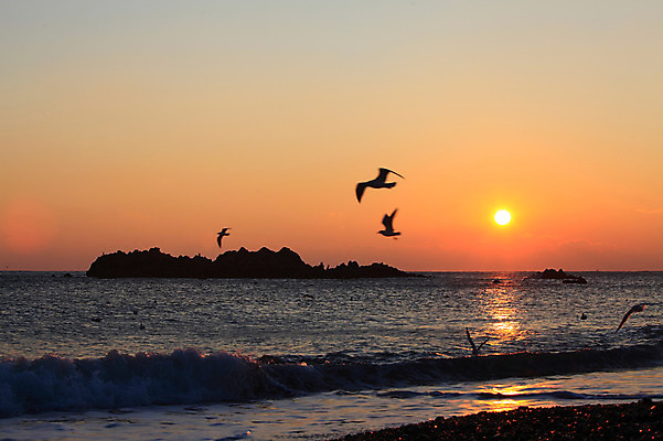 포토 JPG 동물 실루엣 물결 파도 바다 여러마리 자연현상 자연 갈매기 조류 하늘 한국 풍경 해변 사람없음 야외 햇빛 태양 일출 노을 일몰 돌_바위 바위 비행 경주 무덤 묘 경상북도 경상도 문무대왕릉 사적 수중릉 왕릉 국내포토 자연요소 아시아 다수 촬영기법 생태계 파일형식