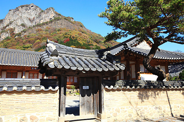 포토 JPG 주간 나무 식물 한국문화 한국전통 전통 건축물 건축 아시아 전통문화 문화 고건축 한국건축 건축양식 종교건축 종교시설 하늘 산 한옥 한국 그림자 풍경 사람없음 야외 건물 담장 문 동양건축 소나무 사찰 전라도 전라남도 대문 장성 장성백양사 국내포토 자연요소 동양문화 나라 종교 시설 파일형식 동양
