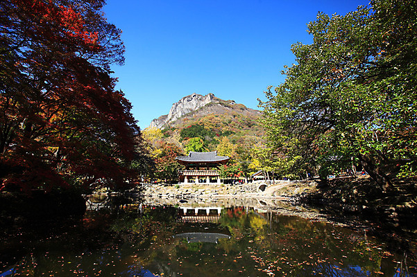 포토 JPG 주간 나무 식물 한국문화 한국전통 전통 건축물 건축 아시아 전통문화 문화 호수 고건축 한국건축 건축양식 종교건축 자연 종교시설 하늘 산 한옥 한국 물그림자 풍경 사람없음 야외 건물 반사 동양건축 연못 사찰 전라도 전라남도 정자 쌍계루 장성 장성백양사 국내포토 자연요소 동양문화 나라 종교 그림자 시설 생태계 파일형식 동양