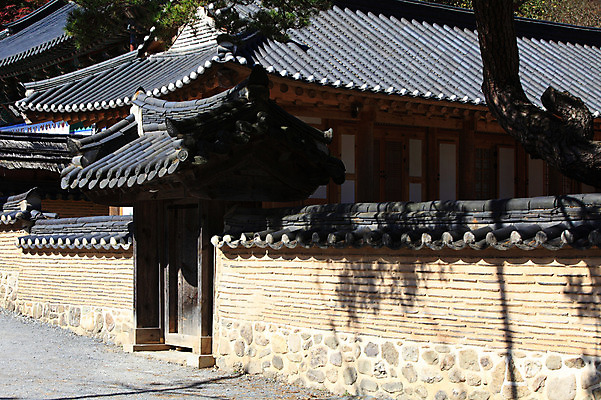 포토 JPG 주간 나무 식물 한국문화 한국전통 전통 건축물 건축 아시아 전통문화 문화 고건축 한국건축 건축양식 종교건축 종교시설 한옥 한국 그림자 풍경 사람없음 야외 건물 담장 문 동양건축 소나무 사찰 전라도 전라남도 대문 장성 장성백양사 국내포토 자연요소 동양문화 나라 종교 시설 파일형식 동양