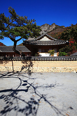 포토 JPG 주간 나무 식물 한국문화 한국전통 전통 건축물 건축 아시아 전통문화 문화 고건축 한국건축 건축양식 종교건축 종교시설 하늘 산 한옥 한국 그림자 풍경 사람없음 야외 건물 담장 동양건축 소나무 사찰 전라도 전라남도 장성 장성백양사 국내포토 자연요소 동양문화 나라 종교 시설 파일형식 동양