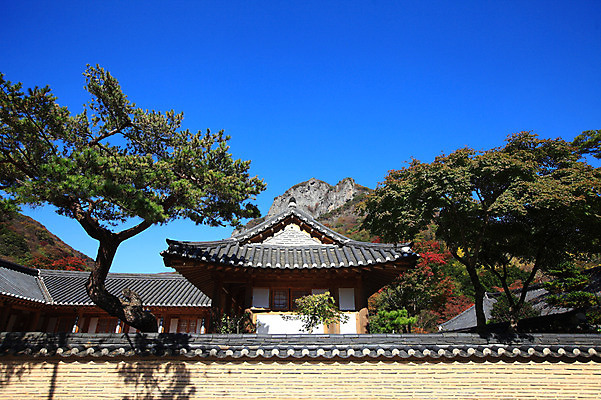 포토 JPG 주간 나무 식물 한국문화 한국전통 전통 건축물 건축 아시아 전통문화 문화 고건축 한국건축 건축양식 종교건축 종교시설 하늘 산 한옥 한국 그림자 풍경 사람없음 야외 건물 담장 동양건축 소나무 사찰 전라도 전라남도 장성 장성백양사 국내포토 자연요소 동양문화 나라 종교 시설 파일형식 동양