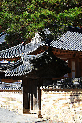 포토 JPG 주간 나무 식물 한국문화 한국전통 전통 건축물 건축 아시아 전통문화 문화 고건축 한국건축 건축양식 종교건축 종교시설 한옥 한국 그림자 풍경 사람없음 야외 건물 담장 문 동양건축 소나무 사찰 전라도 전라남도 대문 장성 장성백양사 국내포토 자연요소 동양문화 나라 종교 시설 파일형식 동양