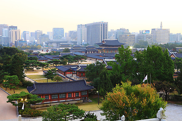 포토 JPG 주간 나무 식물 한국문화 한국전통 전통 건축물 건축 아시아 전통문화 문화 고건축 한국건축 조명 서울 한국 풍경 빌딩 사람없음 야외 건물 관광지 빛 도시풍경 고층빌딩 동양건축 궁전 세계문화유산 문화재 도시 창덕궁 비원 국내포토 자연요소 동양문화 나라 여행 파일형식 동양