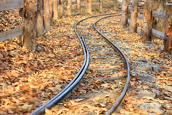 포토 JPG 주간 계절 도로 길 백그라운드 낙엽 잎 곡선 교통시설 자연 나뭇잎 풍경 사람없음 야외 아웃포커스 울타리 가을풍경 기찻길 원근감 가을 커브길 나무기둥 철도의날 국내포토 자연요소 식물 선 뷰포인트 교통 촬영기법 담장 시설 생태계 파일형식 법정기념일 가을_계절