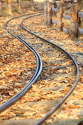 포토 JPG 주간 계절 도로 길 백그라운드 낙엽 잎 곡선 교통시설 자연 나뭇잎 풍경 사람없음 야외 아웃포커스 울타리 가을풍경 기찻길 원근감 가을 커브길 나무기둥 철도의날 국내포토 자연요소 식물 선 뷰포인트 교통 촬영기법 담장 시설 생태계 파일형식 법정기념일 가을_계절