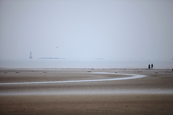 포토 JPG 주간 동물 바다 섬 자연 갈매기 조류 한국 등대 사람 풍경 해변 야외 모래사장 안개 충청남도 충청도 태안 몽산포 서해 서해안 국내포토 자연요소 아시아 날씨 생태계 파일형식