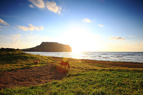 포토 JPG 동물 구름 실루엣 바다 섬 두마리 포유류 자연현상 자연 하늘 초식동물 한국 풍경 초원 해변 사람없음 야외 햇빛 태양 제주도 일출 노을 일몰 목초지 말_동물 방목 성산일출봉 광치기해변 국내포토 자연요소 아시아 2 촬영기법 목장 축산업 생태계 서귀포 파일형식 초원_자연