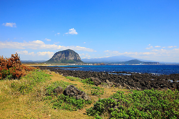 포토 JPG 주간 나무 식물 구름 바다 섬 자연 하늘 산 한국 풍경 해변 사람없음 야외 제주도 맑음 돌_바위 바위 산방산 국내포토 자연요소 아시아 날씨 생태계 파일형식