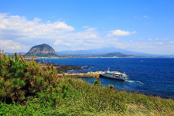 포토 JPG 주간 나무 식물 구름 바다 섬 자연 하늘 산 한국 풍경 해변 사람없음 야외 제주도 항구 맑음 풀 산방산 선박 국내포토 자연요소 아시아 수상교통 교통시설 날씨 생태계 파일형식