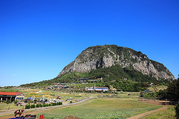 포토 JPG 주간 나무 식물 동물 건축물 자연 하늘 산 한국 풍경 초원 사람없음 야외 건물 제주도 마을 맑음 가축 말_동물 산방산 국내포토 자연요소 건축 아시아 포유류 날씨 생태계 파일형식