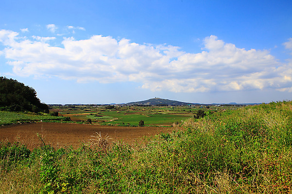 포토 JPG 주간 나무 식물 구름 밭 농업 자연 하늘 산 한국 논 풍경 사람없음 야외 제주도 농경지 마을 농사 농촌 풀 국내포토 자연요소 산업 아시아 농장 시골 생태계 파일형식