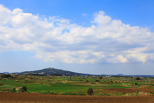 포토 JPG 주간 나무 식물 구름 밭 농업 하늘 산 한국 논 풍경 사람없음 야외 제주도 농경지 마을 농사 농촌 국내포토 자연요소 산업 아시아 농장 시골 파일형식