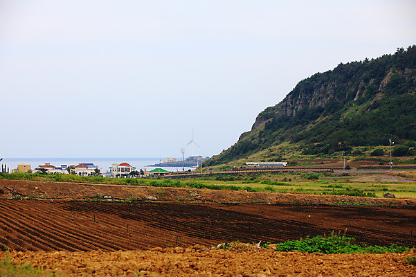 포토 JPG 주간 바다 밭 농업 자연 산 한국 논 풍경 해변 사람없음 야외 제주도 농경지 마을 농사 흙 풍차 풍력에너지 해안도시 국내포토 자연요소 산업 아시아 농장 도시 그린에너지 생태계 파일형식