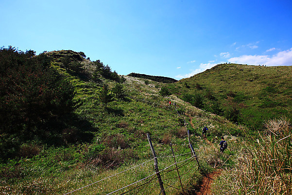 포토 JPG 주간 나무 식물 구름 자연 하늘 레저 산 한국 사람 풍경 여러명 야외 울타리 제주도 맑음 등산 트래킹 숲 등산객 언덕 국내포토 자연요소 아시아 다수 날씨 담장 생태계 파일형식