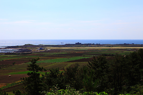 포토 JPG 주간 나무 식물 구름 바다 밭 농업 자연 하늘 한국 논 풍경 해변 사람없음 야외 제주도 농경지 마을 농사 해안도시 국내포토 자연요소 산업 아시아 농장 도시 생태계 파일형식