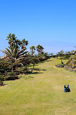 포토 JPG 주간 나무 식물 구름 가방 자연 하늘 한국 풍경 잔디 사람없음 야외 야자수 제주도 마을 빨랫줄 국내포토 자연요소 잡화 아시아 줄 생태계 파일형식