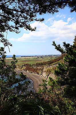 포토 JPG 주간 나무 식물 구름 바다 섬 밭 자연 하늘 한국 논 풍경 해변 사람없음 야외 제주도 농경지 국내포토 자연요소 아시아 농업 농장 생태계 파일형식