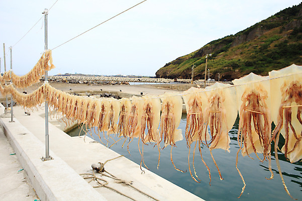 포토 JPG 주간 음식 바다 섬 건조 한국 풍경 해변 사람없음 야외 제주도 기둥 빨랫줄 해산물 오징어 건어물 말린오징어 국내포토 자연요소 건축 아시아 줄 연체동물 수중동물 파일형식