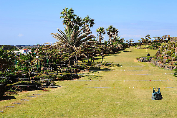 포토 JPG 주간 나무 식물 구름 가방 자연 하늘 한국 풍경 잔디 사람없음 야외 야자수 제주도 마을 빨랫줄 국내포토 자연요소 잡화 아시아 줄 생태계 파일형식