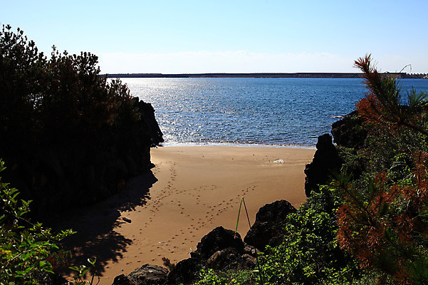 포토 JPG 주간 나무 식물 구름 바다 자연 하늘 한국 풍경 해변 사람없음 야외 모래사장 제주도 맑음 돌_바위 바위 발자국 국내포토 자연요소 아시아 자국 날씨 생태계 파일형식