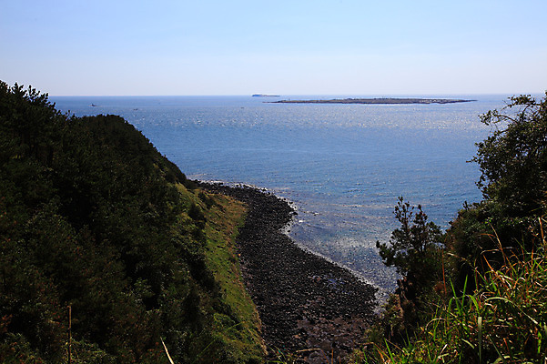 포토 JPG 주간 나무 식물 바다 섬 자연 한국 풍경 해변 사람없음 야외 제주도 절벽 조약돌 국내포토 자연요소 아시아 돌_바위 생태계 파일형식