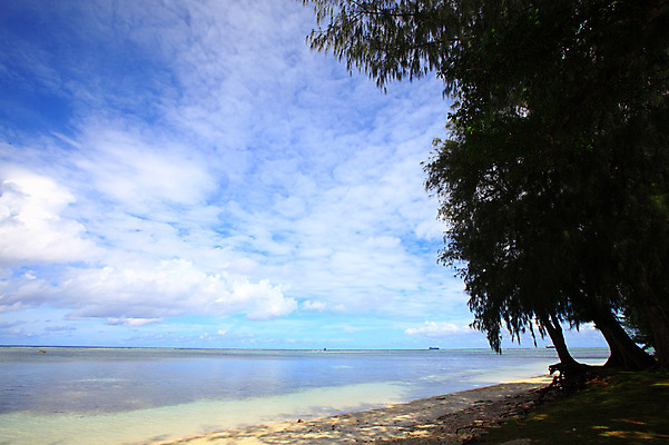 포토 JPG 주간 나무 식물 구름 해외풍경 해외 계절 물결 바다 섬 여행 하늘 휴가 풍경 해변 사람없음 야외 여름 여름휴가 바캉스 모래사장 맑음 수면 해수욕장 휴양지 남태평양 사이판 국내포토 자연요소 날씨 물 장소 오세아니아 태평양 파일형식 여름_계절