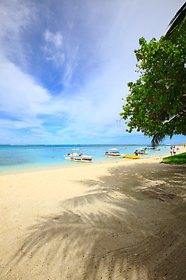 포토 JPG 주간 나무 식물 구름 해외풍경 해외 계절 바다 섬 여행 하늘 휴가 풍경 여러명 해변 야외 여름 여름휴가 바캉스 모래사장 맑음 보트 수면 해수욕장 휴양지 남태평양 사이판 선박 국내포토 자연요소 다수 수상교통 배_교통 날씨 사람 물 장소 오세아니아 태평양 파일형식 여름_계절