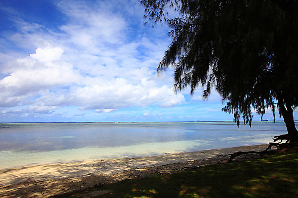 포토 JPG 주간 나무 식물 구름 해외풍경 해외 계절 물결 바다 섬 여행 하늘 휴가 풍경 해변 사람없음 야외 여름 여름휴가 바캉스 모래사장 맑음 수면 해수욕장 휴양지 남태평양 사이판 국내포토 자연요소 날씨 물 장소 오세아니아 태평양 파일형식 여름_계절