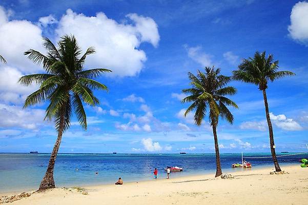 포토 JPG 주간 나무 식물 구름 해외풍경 해외 계절 바다 섬 여행 하늘 휴가 풍경 여러명 해변 야외 여름 여름휴가 바캉스 모래사장 야자수 맑음 보트 수면 해수욕장 휴양지 남태평양 사이판 선박 국내포토 자연요소 다수 수상교통 배_교통 날씨 사람 물 장소 오세아니아 태평양 파일형식 여름_계절