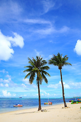 포토 JPG 주간 나무 식물 구름 해외풍경 해외 계절 바다 섬 여행 하늘 휴가 풍경 여러명 해변 야외 여름 여름휴가 바캉스 모래사장 야자수 맑음 보트 수면 해수욕장 휴양지 남태평양 사이판 선박 국내포토 자연요소 다수 수상교통 배_교통 날씨 사람 물 장소 오세아니아 태평양 파일형식 여름_계절