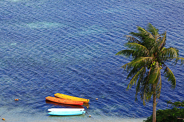 포토 JPG 주간 나무 식물 해외풍경 해외 계절 바다 섬 여행 휴가 풍경 해변 사람없음 야외 여름 여름휴가 바캉스 하이앵글 모래사장 야자수 수면 해수욕장 휴양지 카누 남태평양 사이판 선박 국내포토 자연요소 뷰포인트 수상교통 장소 수상스포츠 오세아니아 태평양 파일형식 여름_계절
