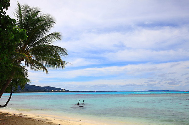 포토 JPG 주간 나무 식물 구름 해외풍경 해외 계절 물결 바다 섬 여행 하늘 휴가 풍경 해변 사람없음 야외 여름 여름휴가 바캉스 모래사장 맑음 수면 해수욕장 휴양지 남태평양 사이판 국내포토 자연요소 날씨 장소 오세아니아 태평양 파일형식 여름_계절