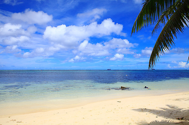 포토 JPG 주간 나무 식물 구름 해외풍경 해외 계절 바다 섬 여행 하늘 휴가 풍경 해변 사람없음 야외 여름 여름휴가 바캉스 모래사장 야자수 맑음 해수욕장 휴양지 남태평양 사이판 국내포토 자연요소 날씨 장소 오세아니아 태평양 파일형식 여름_계절