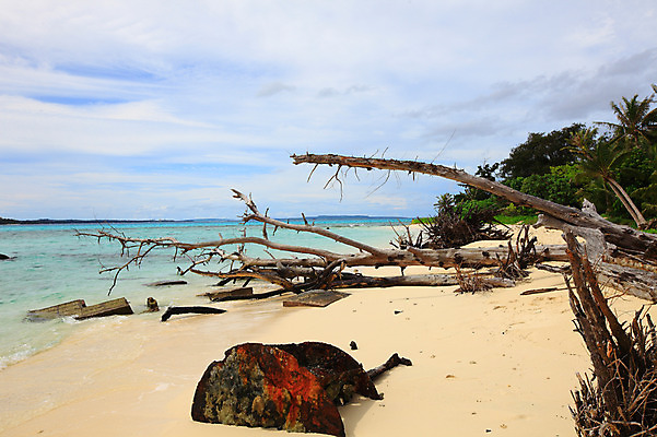 포토 JPG 주간 나무 식물 구름 해외풍경 해외 계절 물결 바다 섬 여행 하늘 휴가 풍경 해변 사람없음 야외 여름 여름휴가 바캉스 모래사장 맑음 나뭇가지 수면 해수욕장 휴양지 남태평양 사이판 국내포토 자연요소 날씨 장소 오세아니아 태평양 파일형식 여름_계절
