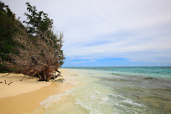 포토 JPG 주간 나무 식물 구름 해외풍경 해외 계절 물결 바다 섬 여행 하늘 휴가 풍경 해변 사람없음 야외 여름 여름휴가 바캉스 모래사장 맑음 수면 해수욕장 휴양지 남태평양 사이판 국내포토 자연요소 날씨 장소 오세아니아 태평양 파일형식 여름_계절