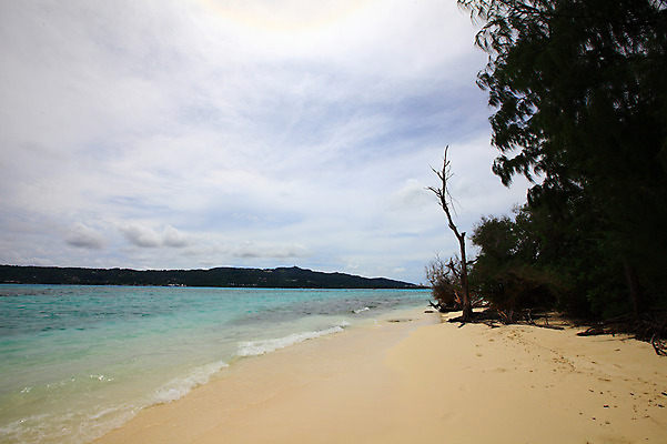 포토 JPG 주간 나무 식물 구름 해외풍경 해외 계절 물결 바다 섬 여행 하늘 휴가 풍경 해변 사람없음 야외 여름 여름휴가 바캉스 모래사장 맑음 수면 해수욕장 휴양지 남태평양 사이판 국내포토 자연요소 날씨 장소 오세아니아 태평양 파일형식 여름_계절