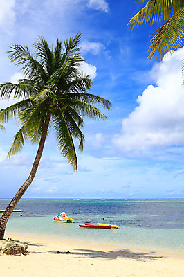 포토 JPG 주간 나무 식물 구름 해외풍경 해외 계절 물결 바다 섬 여행 하늘 휴가 풍경 해변 사람없음 야외 여름 여름휴가 바캉스 야자수 맑음 보트 수면 휴양지 남태평양 사이판 선박 국내포토 자연요소 수상교통 배_교통 날씨 물 장소 오세아니아 태평양 파일형식 여름_계절